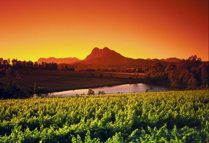 Afrique du sud